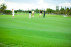 Golf Networking   Events Miami